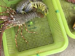 -班赞海鲜市场