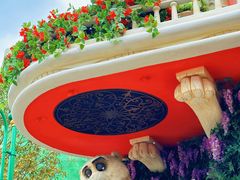 -迪士尼小镇