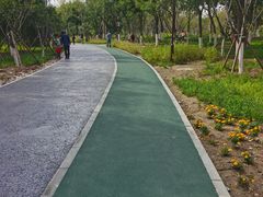 -回龙观体育文化公园