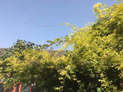 -北京市东城区妇幼保健院(北院区)