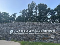 -北京西山国家森林公园