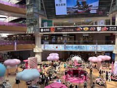 -上海长风大悦城