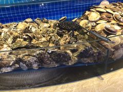 水产区-乔哥铭洋海鲜自助(皇城恒隆广场店)