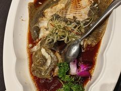 -艳阳天民俗村(公园路店)