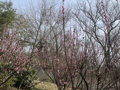 -合肥野生动物园