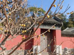 -国家植物园