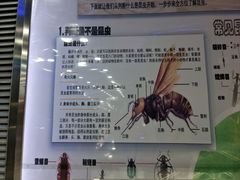 -上海大自然野生昆虫馆(东方明珠·爬宠昆虫探索中心)