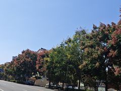 -陈厨(新苑小区店)