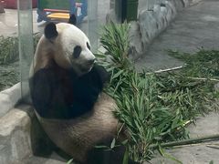 -栾川竹海野生动物园