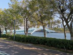 -五缘湾湿地公园