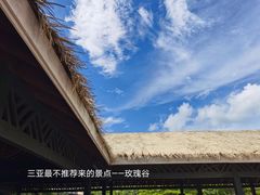-亚龙湾国际玫瑰谷
