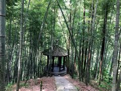 -丹山赤水风景名胜区