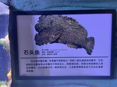 -郑州海洋馆