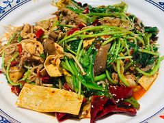 -食悦天美食广场(沈阳青年大街万象城店)