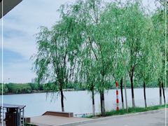 -长白岛森林公园