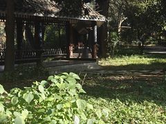 -潜山国家森林公园