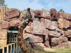 -济南野生动物世界