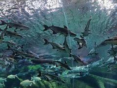 -波塞冬旅游度假区