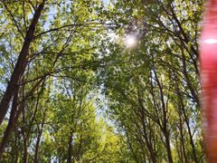 -长春公园(普阳街道)