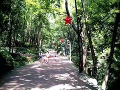 -遵义红军烈士陵园(凤凰山公园)