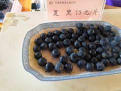 -白鹿原葡萄主题公园