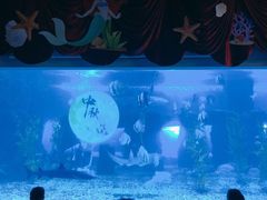 -台州海洋世界
