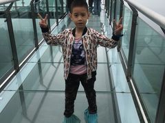 -梦幻奥陶纪景区