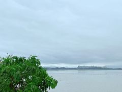 -深圳湾公园(南山区)