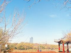 -长春市南湖公园