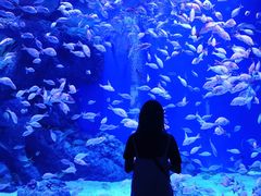 -成都浩海立方海洋公园