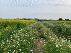 -光明小镇欢乐田园