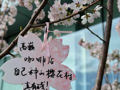 -高嶺咖啡(望京店)