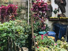 -国生茶庄·地道农家菜团建活动