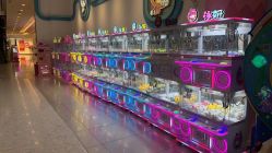 -万达宝贝王(漳州碧湖店)