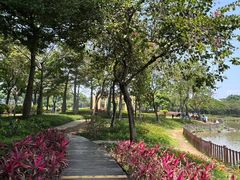 -顺峰山公园