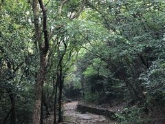 -缥缈峰景区