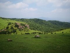 -大姆山草场