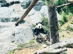 -宁波野生动物园