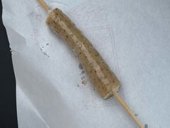 -糖葫芦王保定名吃(古莲花池店)