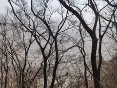 -平湖九龙山旅游度假区