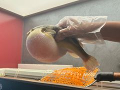 -肆月河豚·新淮扬菜·烤鸭(中关村店)