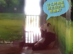 -苏州太湖国家湿地公园