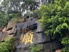 -三水森林公园