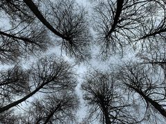 -硗碛藏寨·神木垒景区