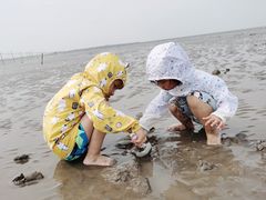 -南汇嘴观海公园