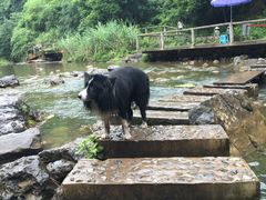 -华蓥山天意谷景区