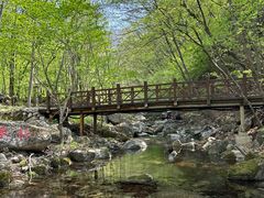 -老太太豆皮(南芬店)