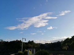 -浮山香苑
