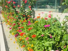 -无锡市市民中心