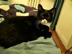 -麦当劳(北京上地十街餐厅店)